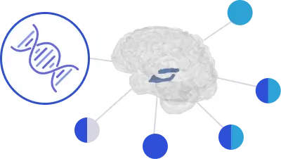 hippocampal-genetic